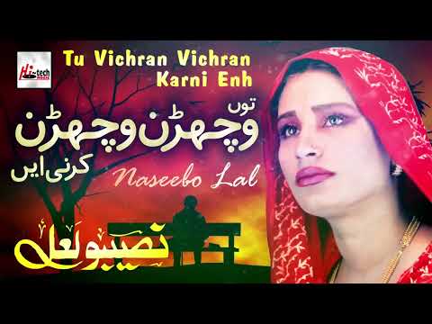 Tu Vichran Vichran Karni - Best of Naseebo Lal - HI-TECH MUSIC#naseebo_lal @naseebolal09