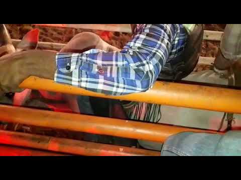 Sérgio Alves. Vs gladiador cia rafael mira