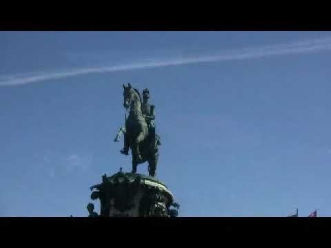 ブラッドドロップ、サンゴファウンテン、スギナ、Russelia equisetiformis