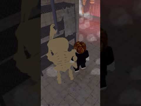 roblox gaming | roblox gameplay | robohobo gaming