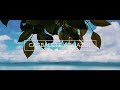 Cagbalete AQUAZUL | Travel Video Cagbalete AQUAZUL | Travel Video