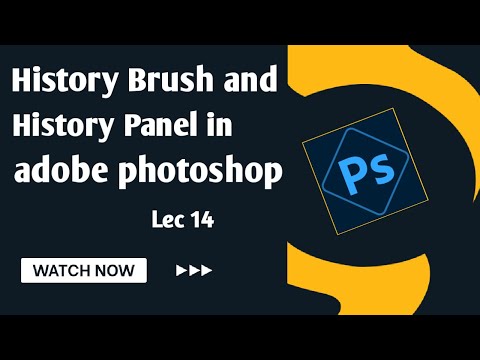 History Brush and History Panel in adobe photoshop for beginners 2022 | Lecture 14