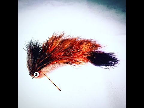 Fly Tying: Brammer's Project Midnight