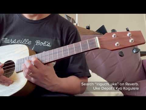 Immagine David Iriguchi Tenor Pineapple Ukulele with Case - 23