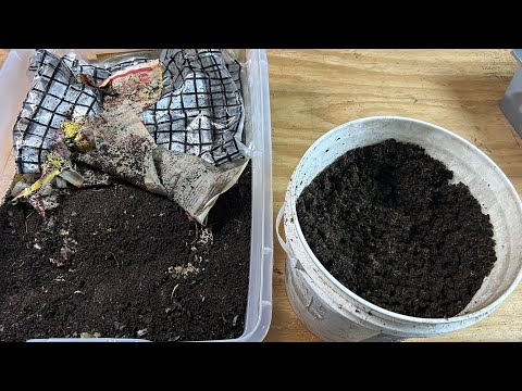 Second Method to Dry Down Wet Sticky Castings -Mixing In Dry Bedding