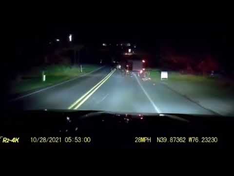 drifting horse. Tokyo drift extra scene