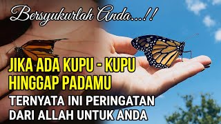 Download lagu BERSYUKURLAH ANDA...!! JIKA ADA KUPU KUPU HINGGAP DI BADANMU, Arti Kupu Kupu Hinggap Di Badan mp3 Download lagu BERSYUKURLAH ANDA...!! JIKA ADA KUPU KUPU HINGGAP DI BADANMU, Arti Kupu Kupu Hinggap Di Badan mp3