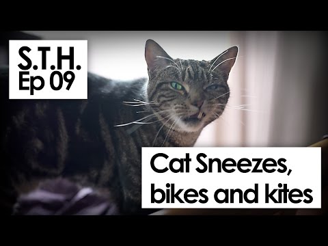 S.T.H. ep09 Wonder woman, kites, bikes and cat sneezes.