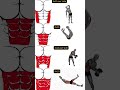 Dumbbell Abs And Obliques Workout