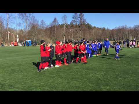 VIFP06A- IK Wormo straffar