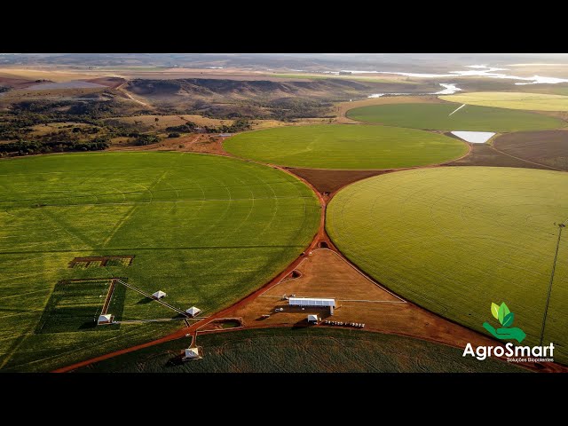3ªDia de Campo - ABC Feijão - Fazenda Taboca - Grupo MeC - Realização Agrosmart Soluções