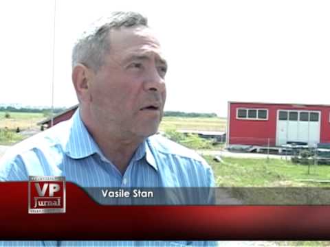 Accident sau căzătură?