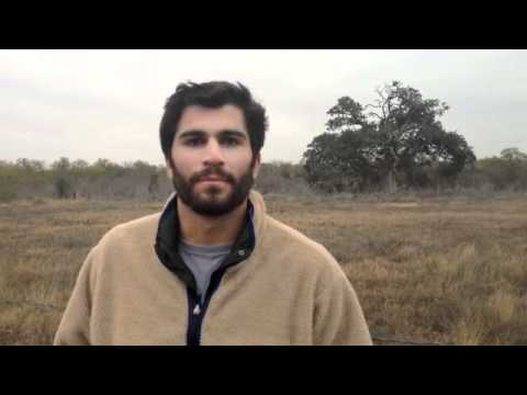 Zion's Sake | Tour Update #4