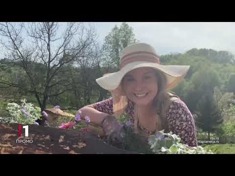 TV lica: Nevena Vukes