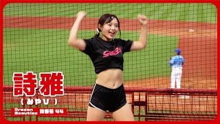むっちりかわいい詩雅 （みやび） Dragon Beauties 小龍女 味全龍啦啦隊 cheerleader 天母棒球場 2024/9/28 【台湾チアTV】