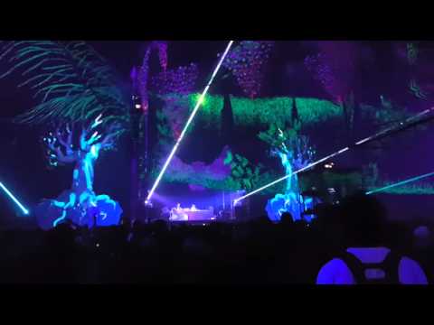 Ajja VS Parasense Insane 2016