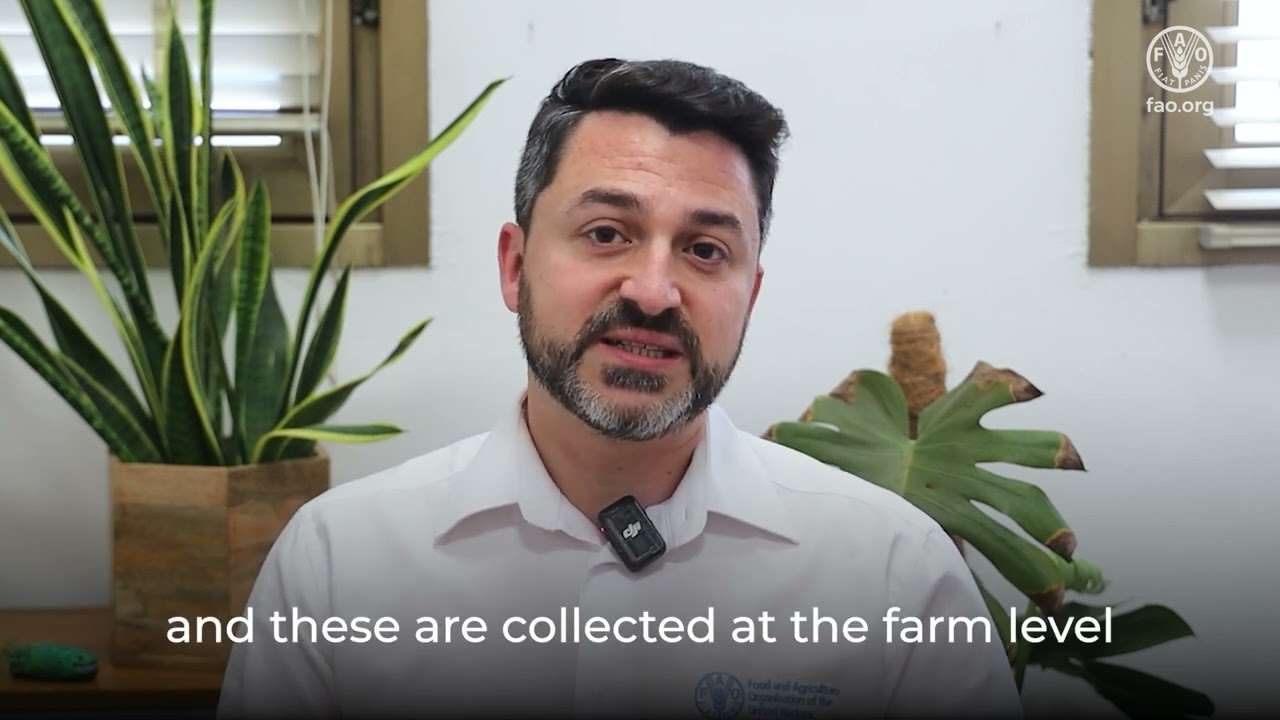 AMR Farmyard – Expert video on the veterinary services provider