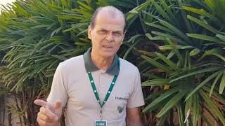 Miniatura do vídeo