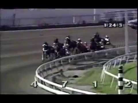1989 Meadowlands MATTS SCOOTER U S  Pacing Championship