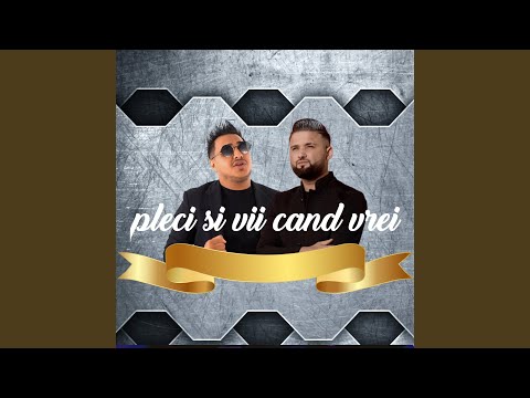 Pleci si Vii cand vrei