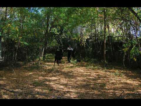 Aggettivo Sette - Montessori