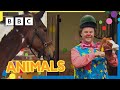 Mr Tumble Loves Animals Learn About Animals Toddler Learning 30 Min Mr Tumble And Friends