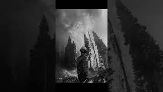 você ama o que você fez?