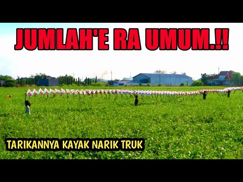 luar-biasa-main-layangan-dobel-terpanjang-di-bumi-tarikannya-dahsyat-benang-gak-kuat-sampe-putus