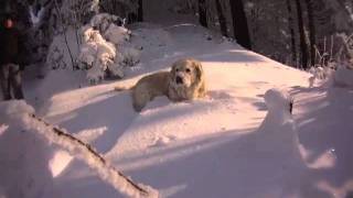 preview picture of video 'Freudigenegg Winterwanderung Wasen im Emmental - Lucky Video'