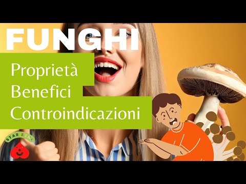 FUNGHI 🍄😱 Il SUPERFOOD della Natura per una VITA SANA❗ Proprietà, BENEFICI e Controindicazioni❗❗