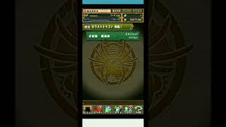 パズドラ ノアドラゴン！