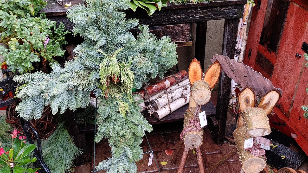 Holiday Christmas Fun 12-06-2020