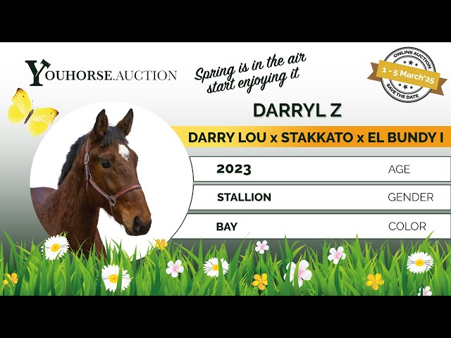 Darryl Z