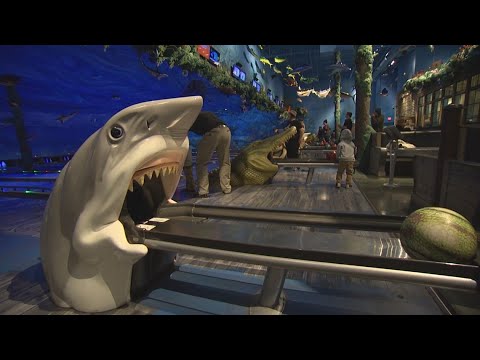 download lagu mp3 mp4 Bowling For Fish, download lagu Bowling For Fish gratis, unduh video klip Bowling For Fish