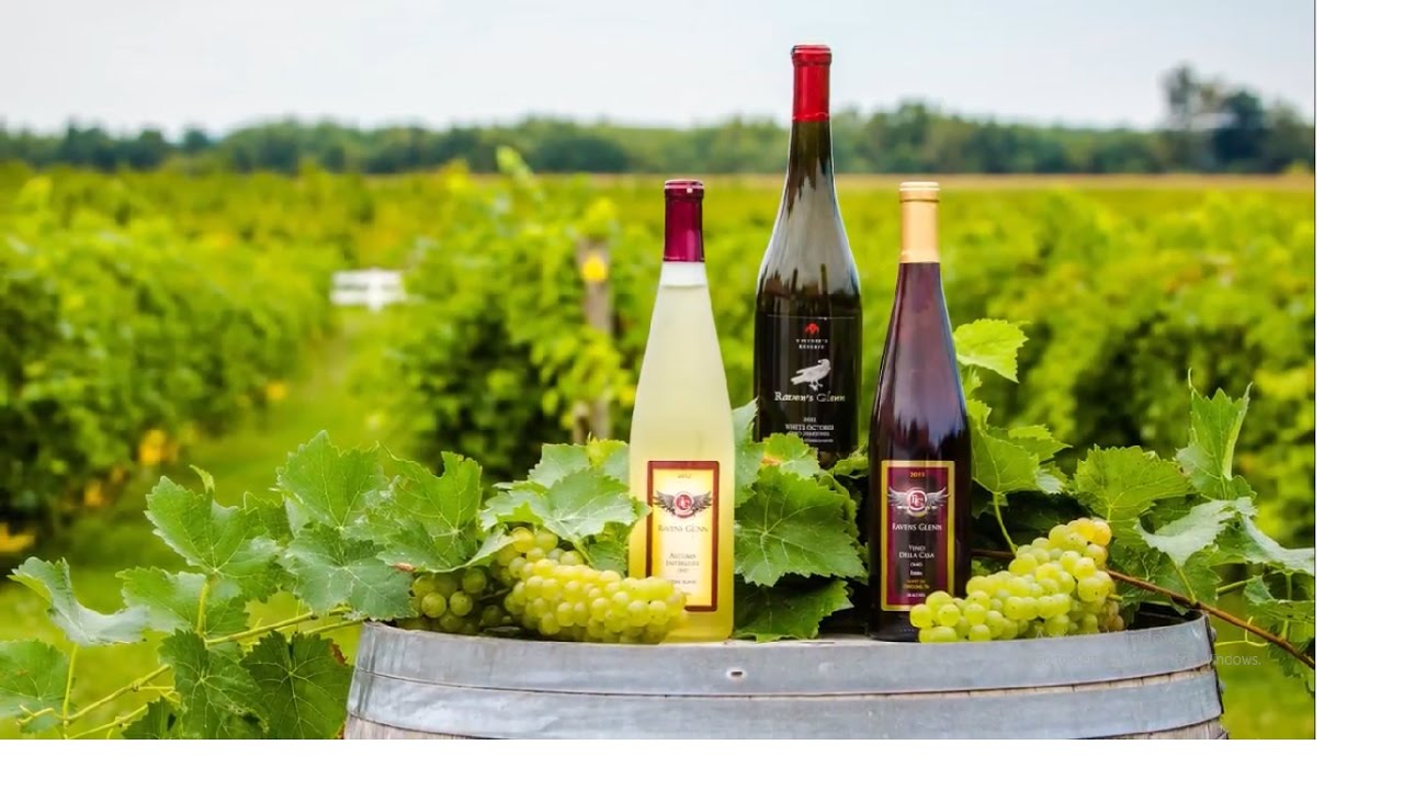 Wine and Craft Beer Trail 04/02/2017