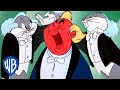 Looney Tunes Orchestral Bugs WB Kids