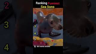 they js be spamming emote for vibes 😭🥀 #ranking #edit #funny #sealions #nobatidao