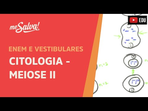 Me Salva! CIT29 - Citologia - Meiose II