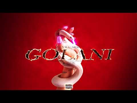 Aleen M.A X AREKU - GOLANI