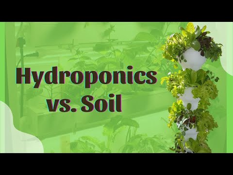 Hydroponics vs. Soil - Chapter 2
