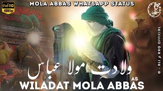 Mola Abbas WhatsApp Status  Wiladat Mola Abbas Sta