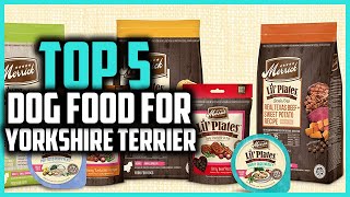 ✅Top 5 Best Dog Food For Yorkshire Terrier of 2024
