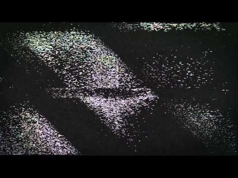 Banks covers The Weeknd - What You Need for Zane Lowe on