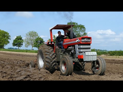 Massey Ferguson 1100 in the field ploughing w/ 6-Bottom Plough at Ferguson Event | 6.cyl Pure Power