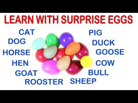 Surprise Eggs and Farm Animals - Babies Toddlers Pre-schoolers - Kids - Learn - Education