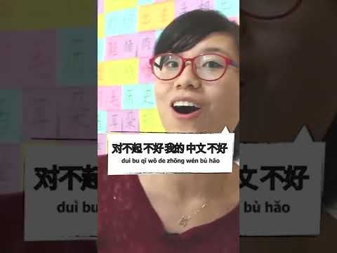 Meu Chinês não é bom | Você já tentou falar chinês com nativo? Me siga aqui! #pulamuralha #chines