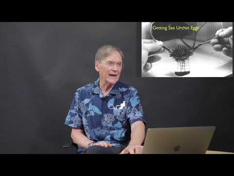 Dr. Tim Hunt: Some lessons from a life in science