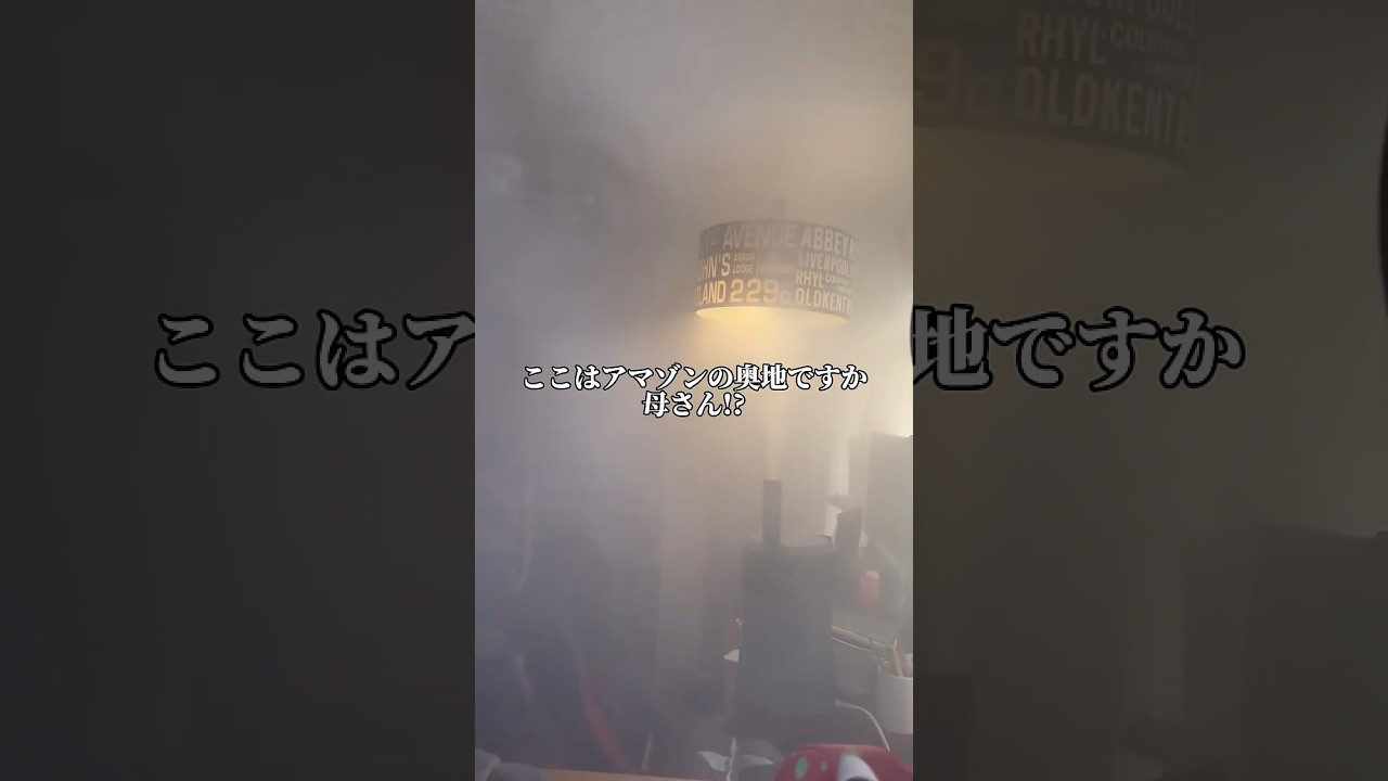 加湿器付けて寝たらコミケ雲みたいな霧が発生しサウナくらい視界モクモクになったよ母さぁーーーん‼︎‼︎‼︎#トーマス　#ブルーノ　#ましゅー #shorts #きのこ