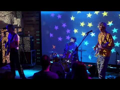 Tomorrows Tulips - Baby