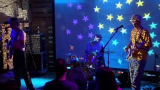 Tomorrows Tulips - Baby